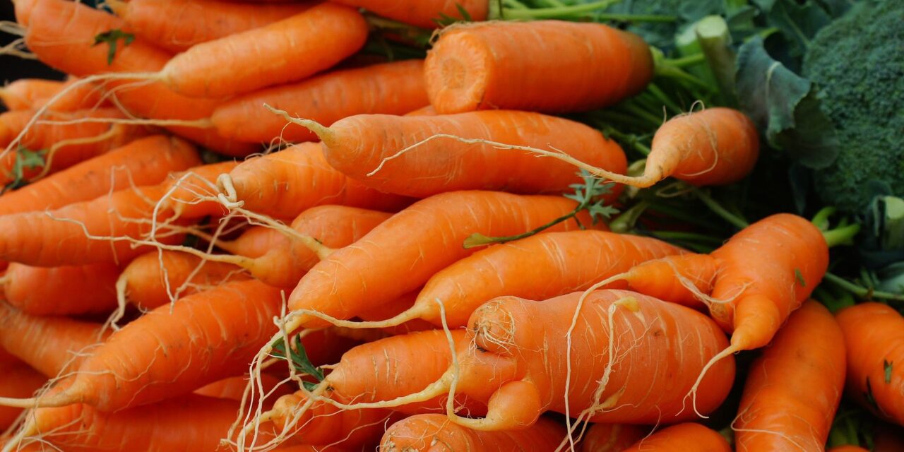 APRIL 4-National Carrot Day