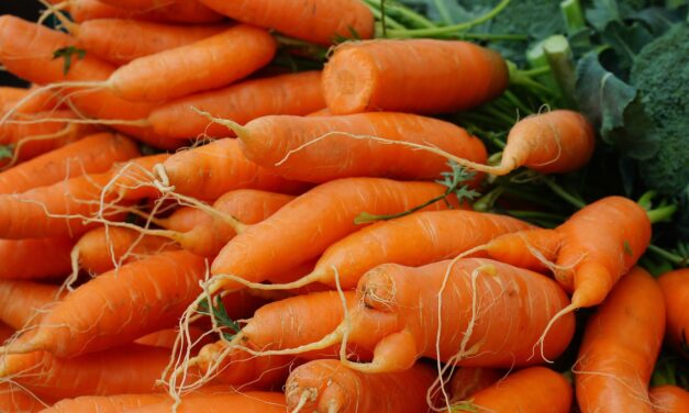 APRIL 4-National Carrot Day