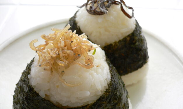 APRIL 19-NATIONAL RICE BALL DAY