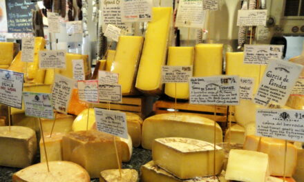 JUNE 4-NATIONAL CHEESE DAY