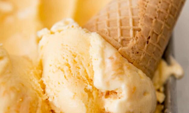 JULY 17-NATIONAL PEACH ICE CREAM DAY