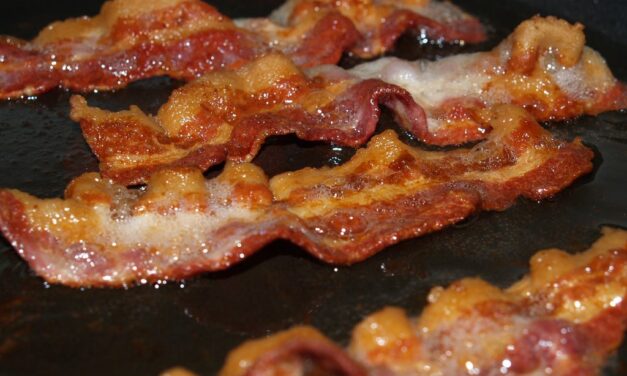 AUGUST 20-NATIONAL BACON LOVERS DAY