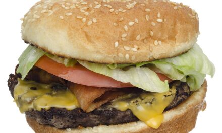 AUGUST 27-NATIONAL BURGER DAY