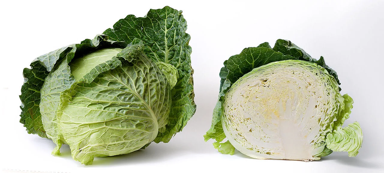 What You Need to Know About Cabbage
