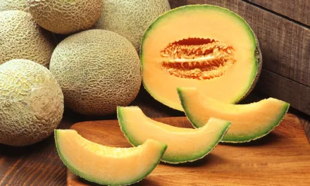 <strong>What You Need to Know About Cantaloupe</strong>