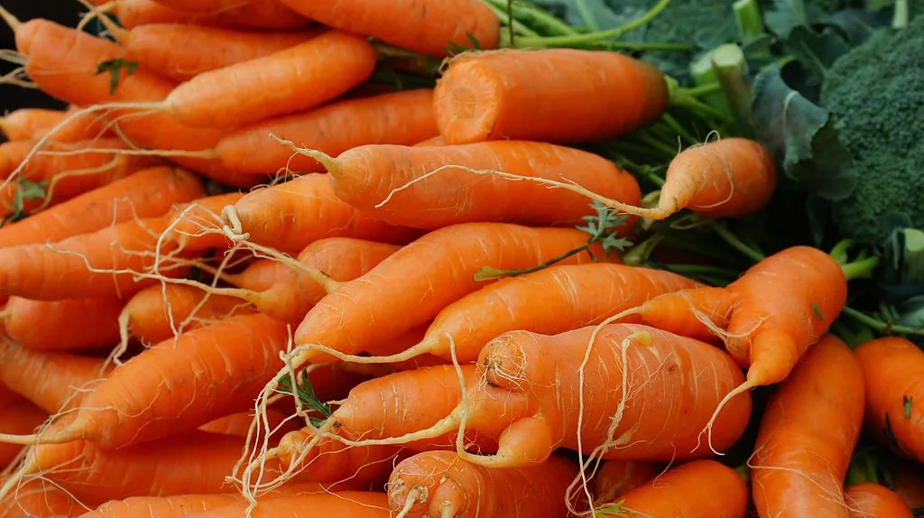 <strong>What You Need to Know About Carrots</strong>