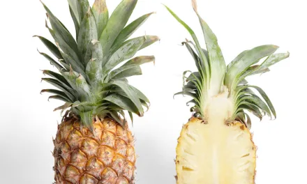 <strong>What You Need to Know About Pineapple</strong>