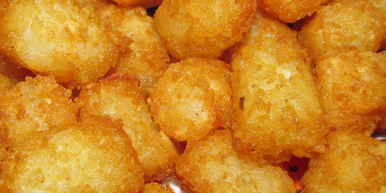 FEB 2-NATIONAL TATER TOT DAY