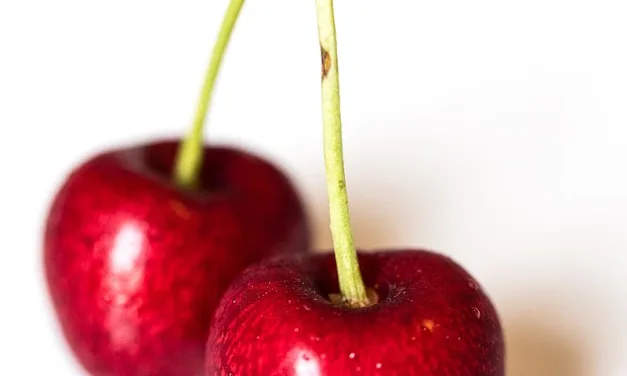 <strong>What You Need to Know About Cherries</strong>