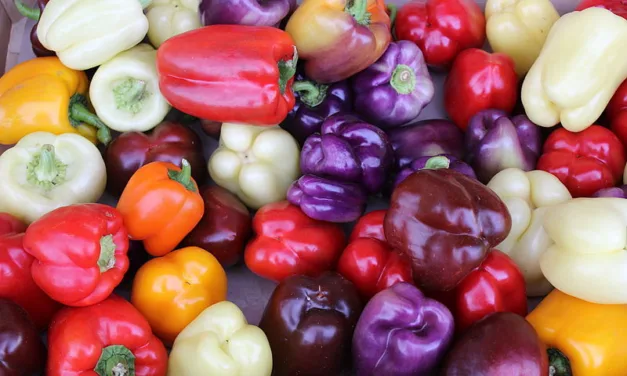 <strong>What You Need to Know About Bell Peppers</strong>