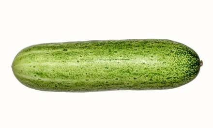 <strong>What You Need to Know About Cucumbers</strong>