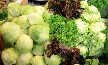<strong>What You Need to Know About Lettuce</strong>