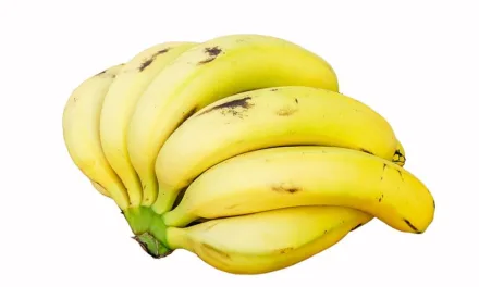 <strong>What You Need to Know About Bananas</strong>