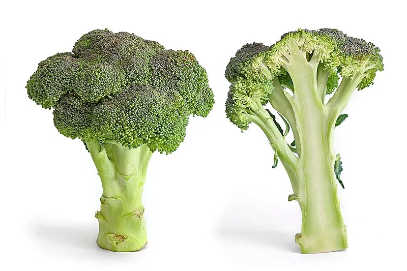 <strong>What You Need to Know About Broccoli</strong>