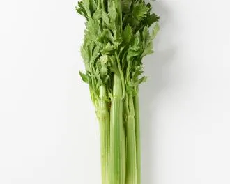 <strong>What You Need to Know About Celery</strong>
