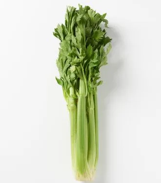 <strong>What You Need to Know About Celery</strong>