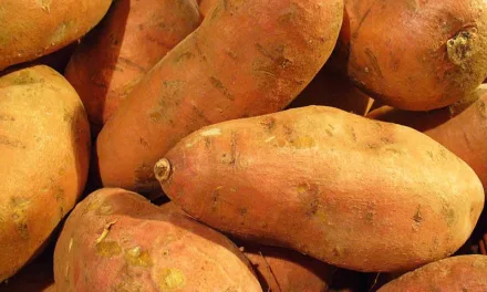 <strong>What You Need to Know About Sweet Potatoes</strong>
