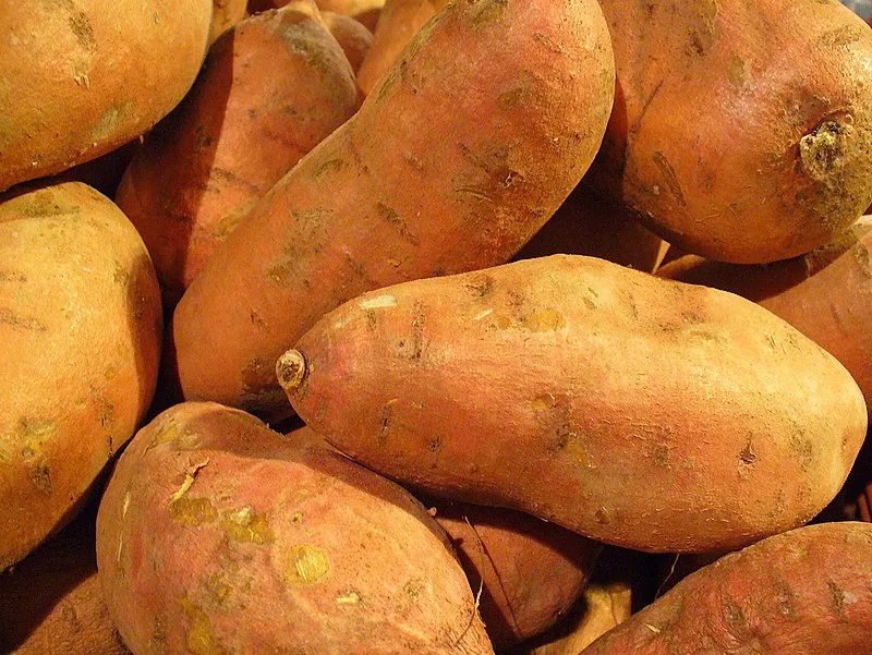<strong>What You Need to Know About Sweet Potatoes</strong>