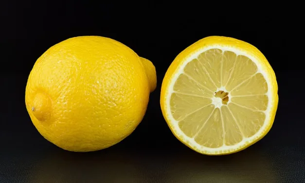 <strong>What You Need to Know About Lemons</strong>
