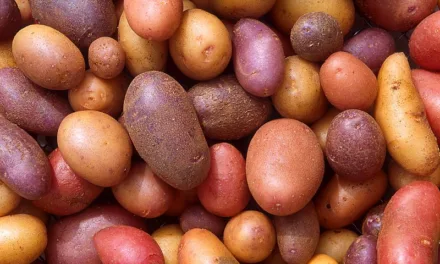 <strong>What You Need to Know About Potatoes</strong>