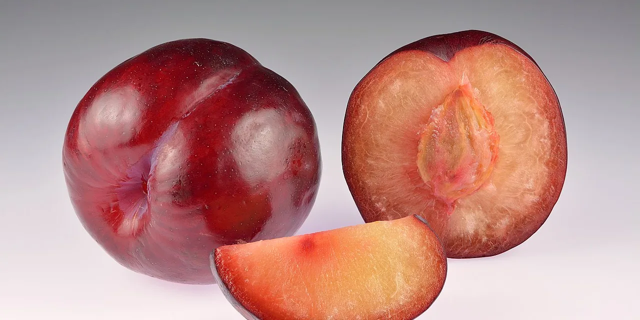 <strong>What You Need to Know About Plums</strong>