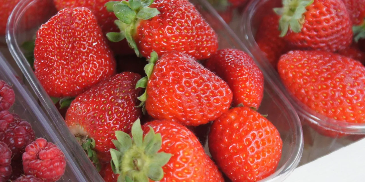 <strong>What You Need to Know About Strawberries</strong>