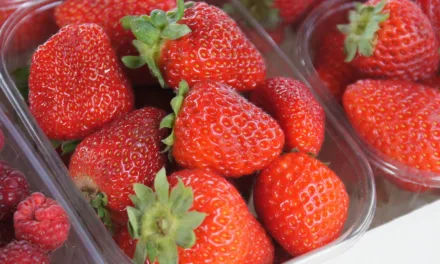 <strong>What You Need to Know About Strawberries</strong>