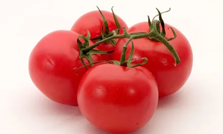 <strong>What You Need to Know About Tomatoes</strong>