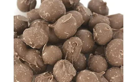 FEB 25-NATIONAL CHOCOLATE COVERED PEANUTS DAY