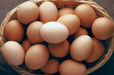 High egg prices send profits at largest US producer soaring more than 700%