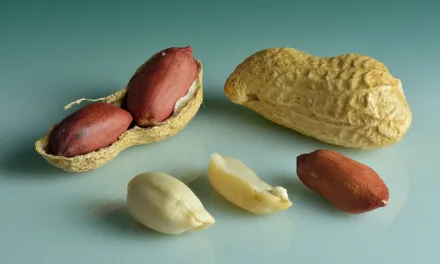 MAR 15-NATIONAL PEANUT LOVERS DAY