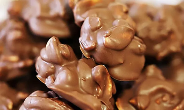 APR 21-NATIONAL CHOCOLATE COVERED CASHEWS DAY