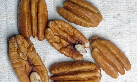APR 14-NATIONAL PECAN DAY