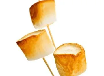 AUGUST 30-NATIONAL TOASTED MARSHMALLOW DAY