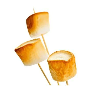 AUGUST 30-NATIONAL TOASTED MARSHMALLOW DAY