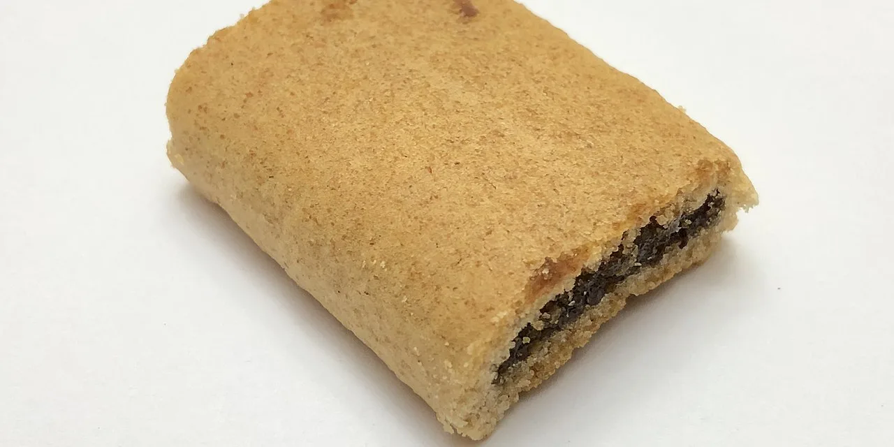 JANUARY 16-NATIONAL FIG NEWTON DAY