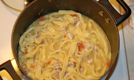 MARCH 13-NATIONAL CHICKEN NOODLE SOUP DAY