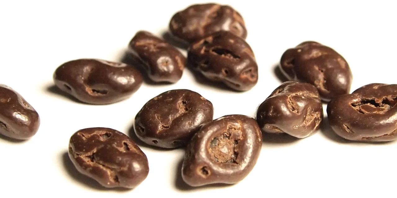 MARCH 24-NATIONAL CHOCOLATE COVERED RAISINS DAY