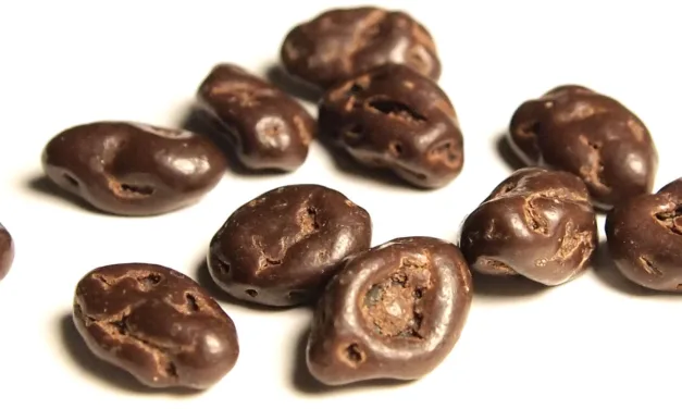 MARCH 24-NATIONAL CHOCOLATE COVERED RAISINS DAY