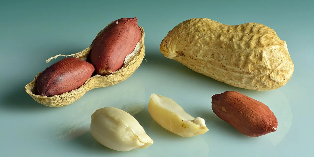 MARCH 15-NATIONAL PEANUT LOVERS’ DAY
