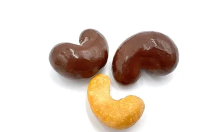 APRIL 21-NATIONAL CHOCOLATE COVERED CASHEWS DAY