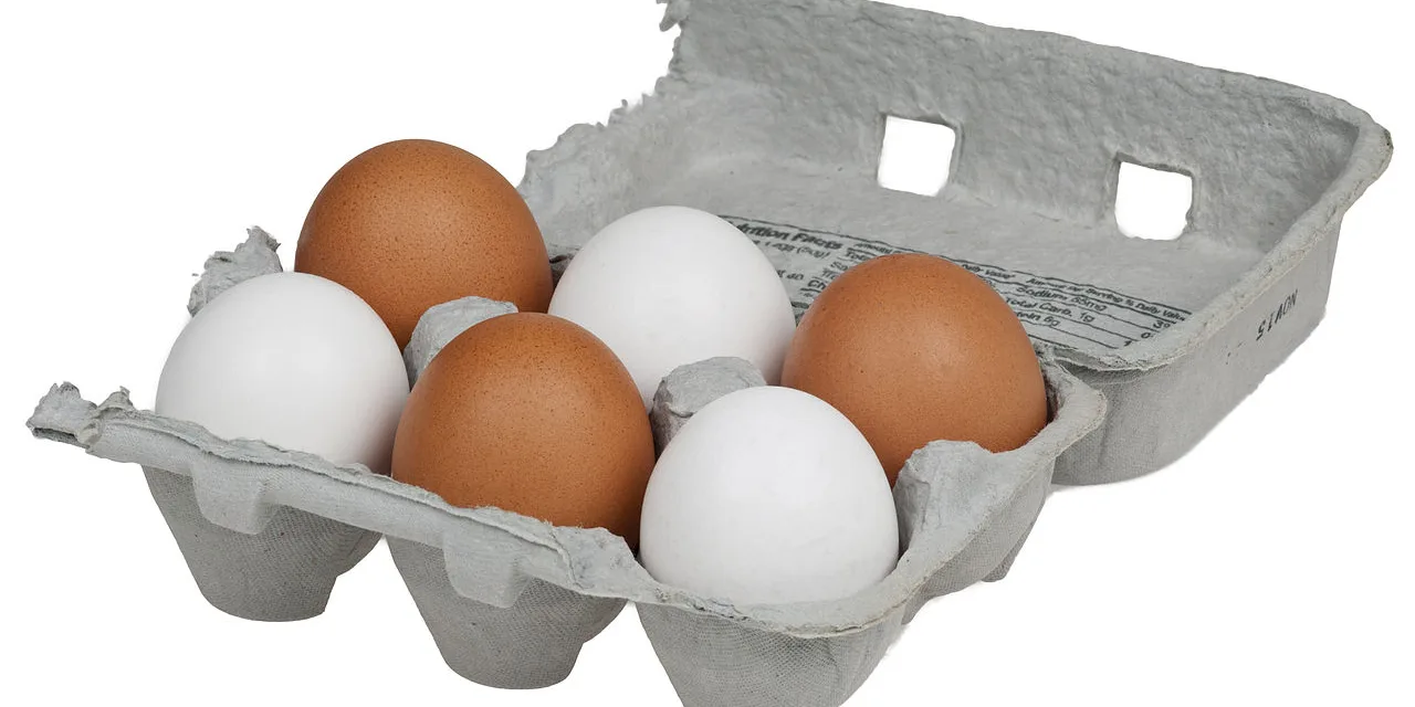 JUNE 3-NATIONAL EGG DAY