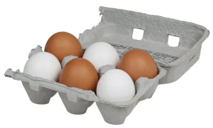 JUNE 3-NATIONAL EGG DAY