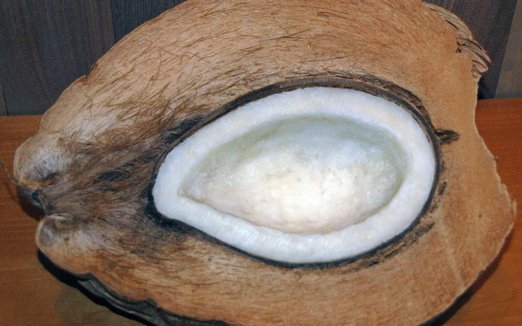 JUNE 26-NATIONAL COCONUT DAY