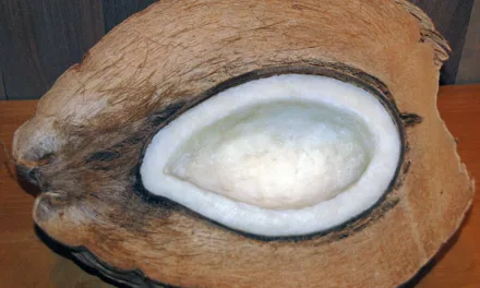 JUNE 26-NATIONAL COCONUT DAY