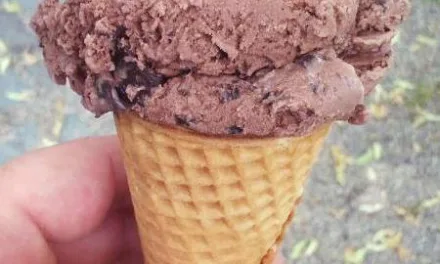 JUNE 7-NATIONAL CHOCOLATE ICE CREAM DAY