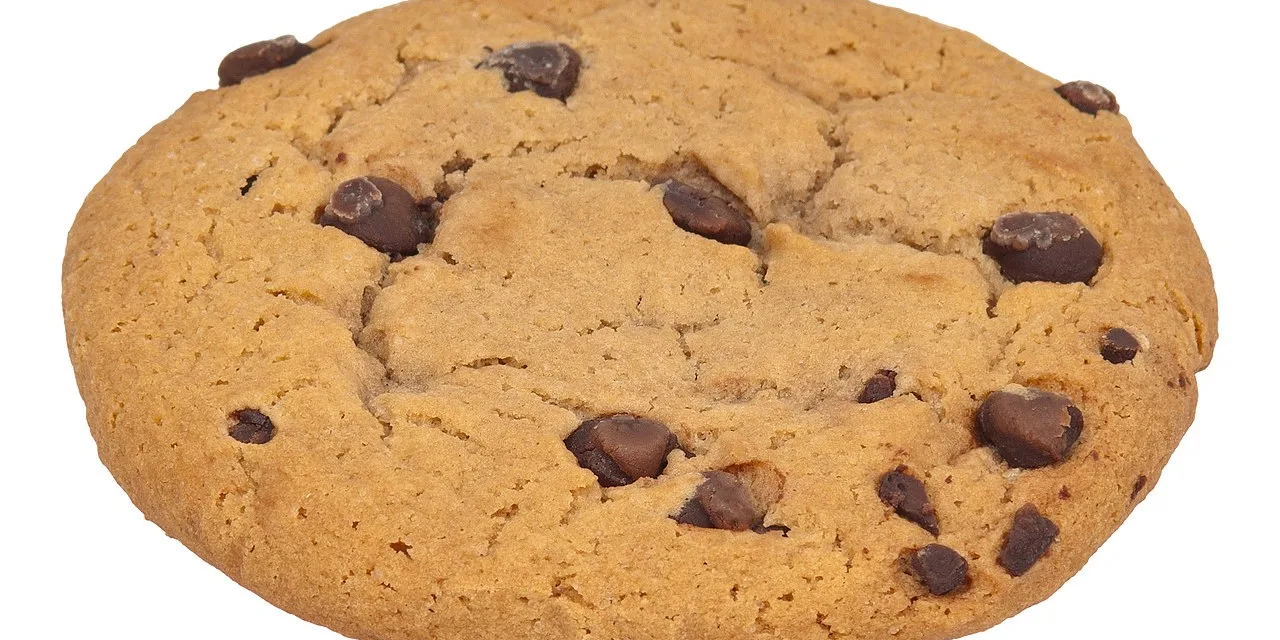 AUGUST 4-NATIONAL CHOCOLATE CHIP COOKIE DAY