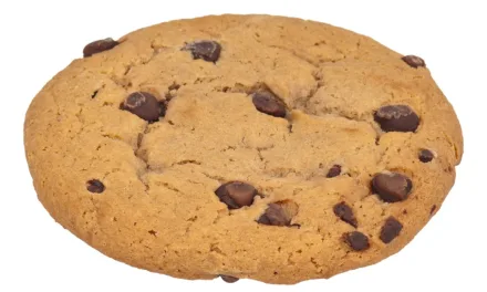 AUGUST 4-NATIONAL CHOCOLATE CHIP COOKIE DAY