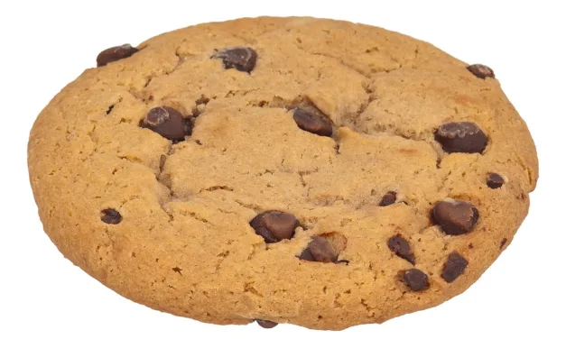 AUGUST 4-NATIONAL CHOCOLATE CHIP COOKIE DAY