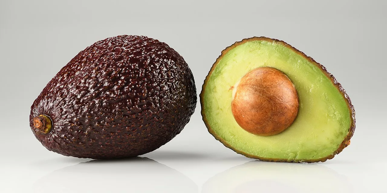 JULY 31-NATIONAL AVOCADO DAY